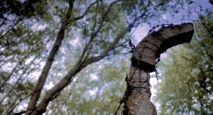 The Carousel Made of Barbed Wire (Finland) (2019) Directed by Jani Ahlstedt. Pölitz, concentration camp. Photo Jani Ahlstedt